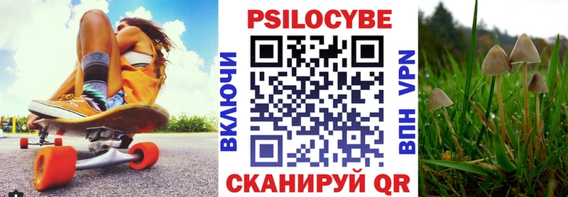 Галлюциногенные грибы Psilocybine cubensis  хочу наркоту  Западная Двина 