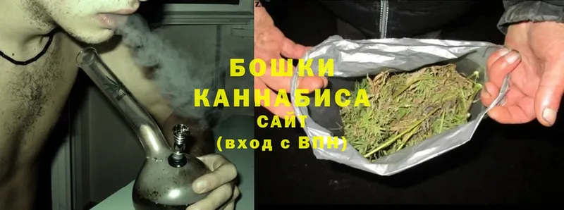 mega ссылки  цены наркотик  Западная Двина  Бошки Шишки Bruce Banner 